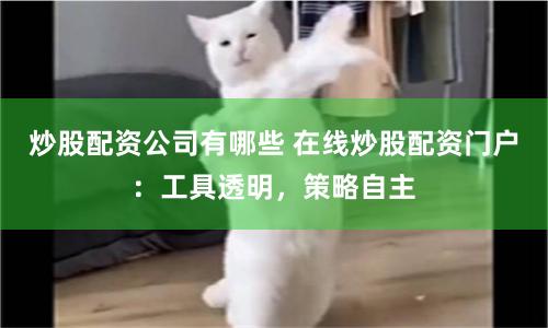 炒股配资公司有哪些 在线炒股配资门户：工具透明，策略自主